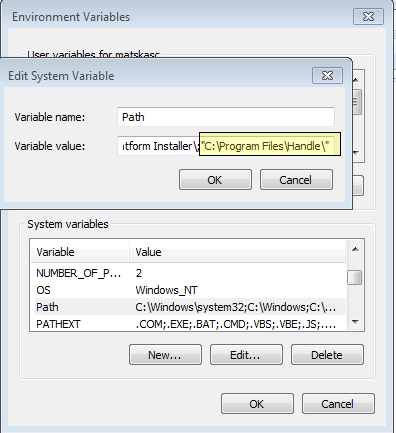 Handle Environment Variable