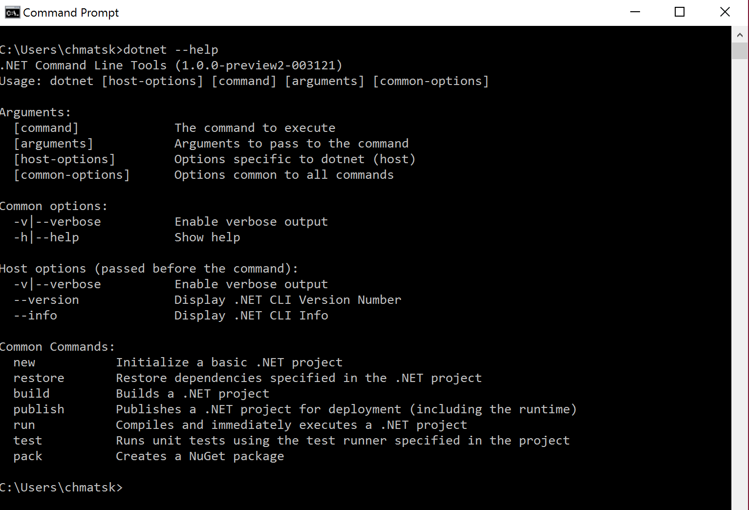 ASP NET Core From The Command Line